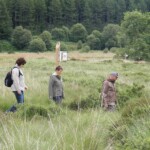 Wanderung bei Dumfries